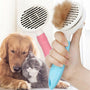 Groom Whiskers Brush